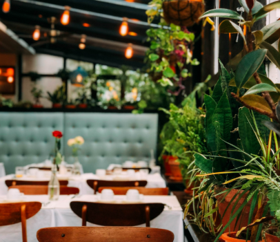 A Practical Guide to Café Accounting for Profit and Stability