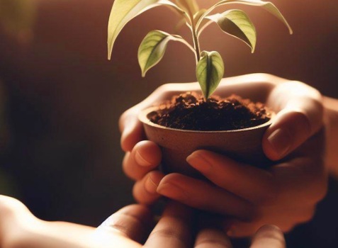How the ‘Buy Nothing’ Movement Can Help You Save Money: 5 Key Benefits for Your Budget